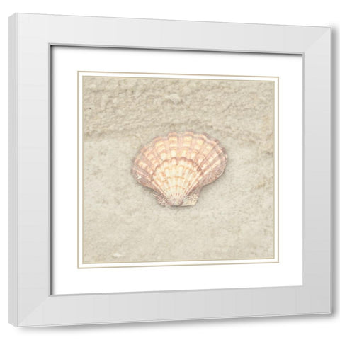 Gypsy Sea Life 4 White Modern Wood Framed Art Print with Double Matting by LightBoxJournal