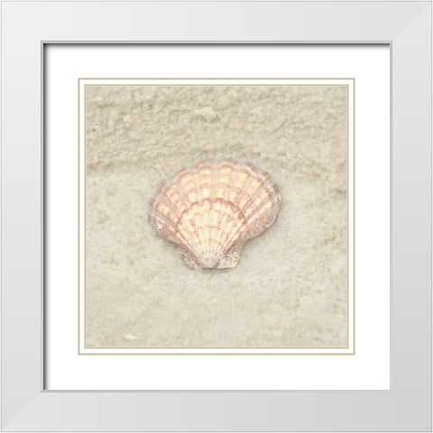 Gypsy Sea Life 4 White Modern Wood Framed Art Print with Double Matting by LightBoxJournal
