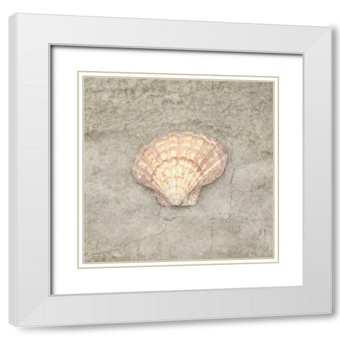 Gypsy Sea Life V3 White Modern Wood Framed Art Print with Double Matting by LightBoxJournal