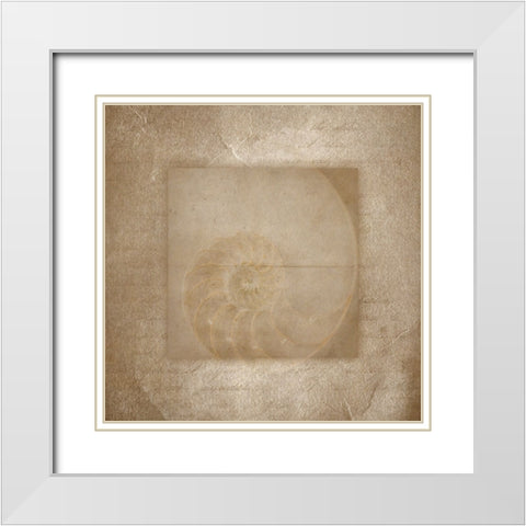Sea Life 2 White Modern Wood Framed Art Print with Double Matting by LightBoxJournal