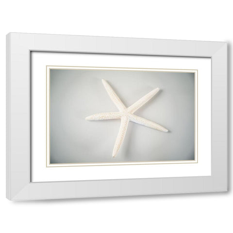 Sea Star 1 White Modern Wood Framed Art Print with Double Matting by LightBoxJournal