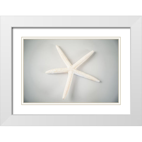 Sea Star 1 White Modern Wood Framed Art Print with Double Matting by LightBoxJournal