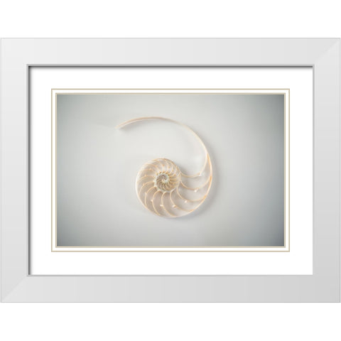 Sea Star 2 White Modern Wood Framed Art Print with Double Matting by LightBoxJournal