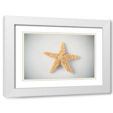 Sea Star 4 White Modern Wood Framed Art Print with Double Matting by LightBoxJournal