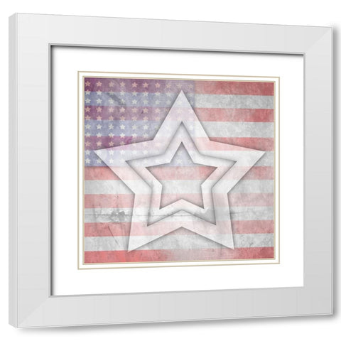 American Born Free Sign Collection V10 White Modern Wood Framed Art Print with Double Matting by LightBoxJournal