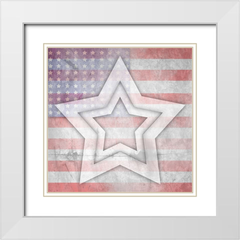American Born Free Sign Collection V10 White Modern Wood Framed Art Print with Double Matting by LightBoxJournal
