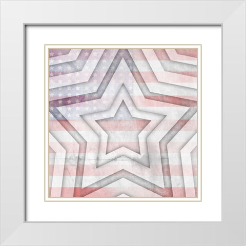 American Born Free Sign Collection V11 White Modern Wood Framed Art Print with Double Matting by LightBoxJournal