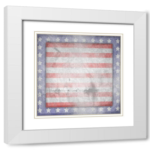 American Born Free Sign Collection V13 White Modern Wood Framed Art Print with Double Matting by LightBoxJournal