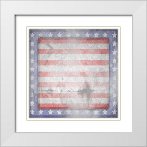American Born Free Sign Collection V13 White Modern Wood Framed Art Print with Double Matting by LightBoxJournal