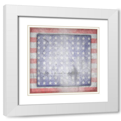 American Born Free Sign Collection V14 White Modern Wood Framed Art Print with Double Matting by LightBoxJournal