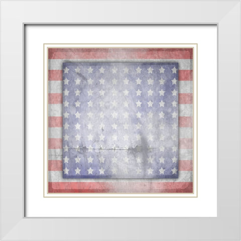 American Born Free Sign Collection V14 White Modern Wood Framed Art Print with Double Matting by LightBoxJournal