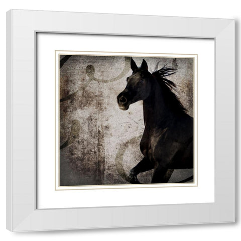 GypsyHorse Collection V1 1 White Modern Wood Framed Art Print with Double Matting by LightBoxJournal
