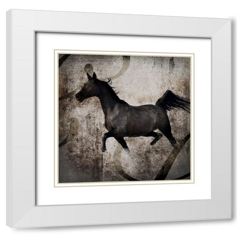 GypsyHorse Collection V1 2 White Modern Wood Framed Art Print with Double Matting by LightBoxJournal