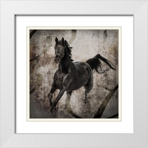 GypsyHorse Collection V1 3 White Modern Wood Framed Art Print with Double Matting by LightBoxJournal