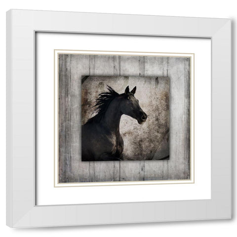 GypsyHorse Collection V1 5 White Modern Wood Framed Art Print with Double Matting by LightBoxJournal