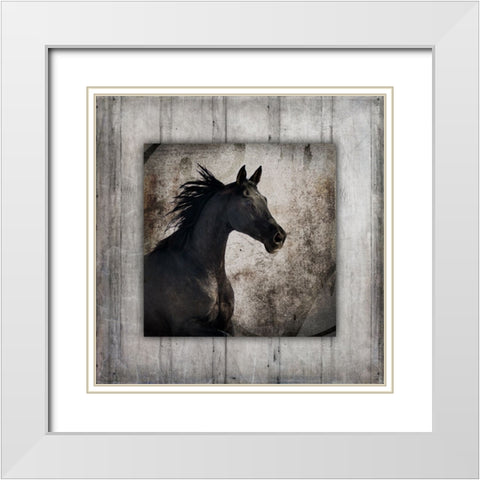 GypsyHorse Collection V1 5 White Modern Wood Framed Art Print with Double Matting by LightBoxJournal