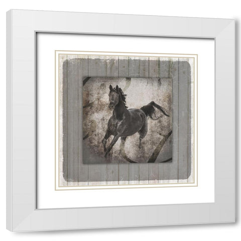 GypsyHorse Collection V1 11 White Modern Wood Framed Art Print with Double Matting by LightBoxJournal