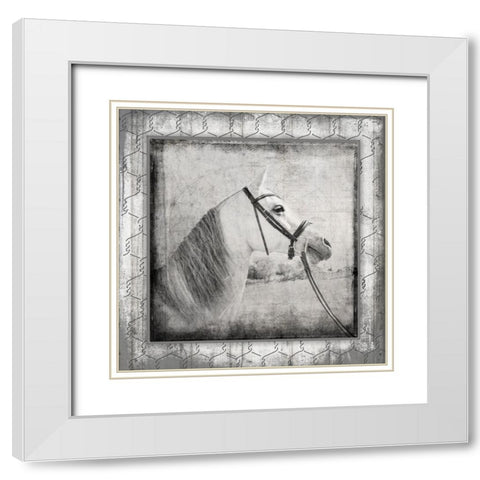 MyFarmMyWay V6 1 White Modern Wood Framed Art Print with Double Matting by LightBoxJournal