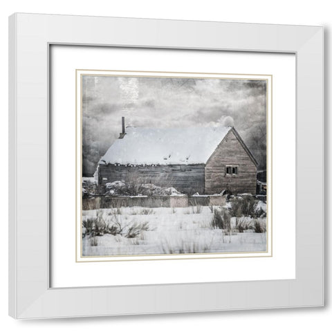 MyFarmMyWayPhotos 1 White Modern Wood Framed Art Print with Double Matting by LightBoxJournal