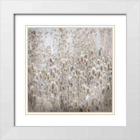 MyFarmMyWayPhotos 2 White Modern Wood Framed Art Print with Double Matting by LightBoxJournal