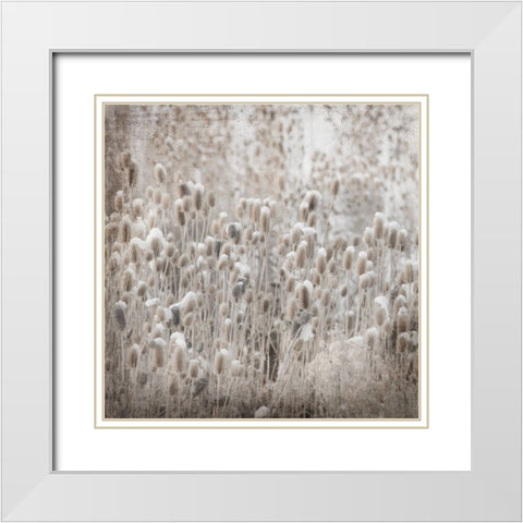 MyFarmMyWayPhotos 3 White Modern Wood Framed Art Print with Double Matting by LightBoxJournal