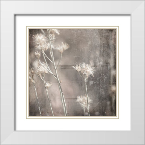 MyFarmMyWayPhotos 7 White Modern Wood Framed Art Print with Double Matting by LightBoxJournal