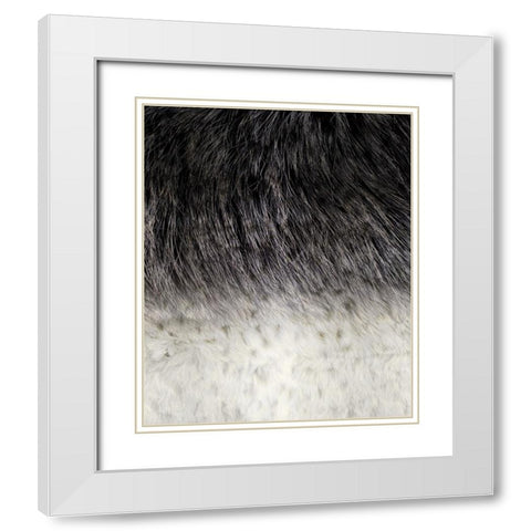 Animal_SurfacePattern V1 4 White Modern Wood Framed Art Print with Double Matting by LightBoxJournal