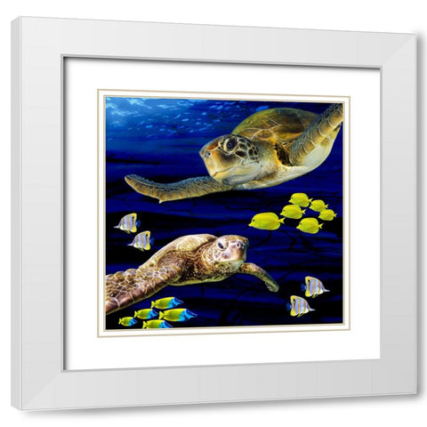 Sea Creatures_Turtle 2 White Modern Wood Framed Art Print with Double Matting by LightBoxJournal