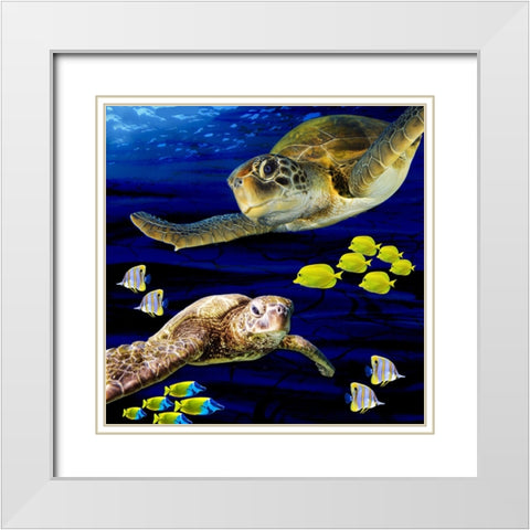 Sea Creatures_Turtle 2 White Modern Wood Framed Art Print with Double Matting by LightBoxJournal