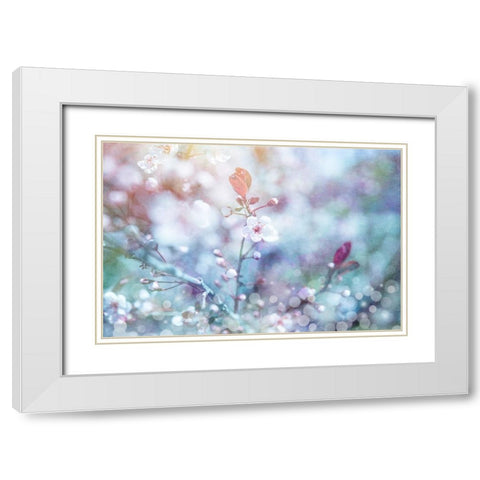 Cherry Blu 01 White Modern Wood Framed Art Print with Double Matting by LightBoxJournal