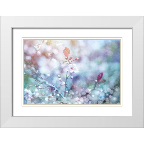 Cherry Blu 01 White Modern Wood Framed Art Print with Double Matting by LightBoxJournal