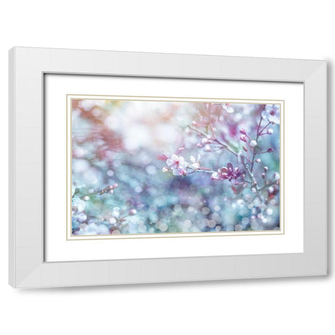 Cherry Blu 02 White Modern Wood Framed Art Print with Double Matting by LightBoxJournal