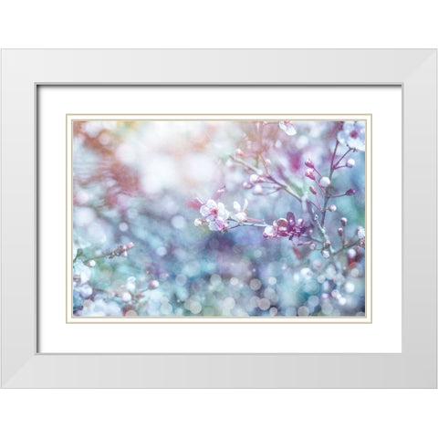 Cherry Blu 02 White Modern Wood Framed Art Print with Double Matting by LightBoxJournal