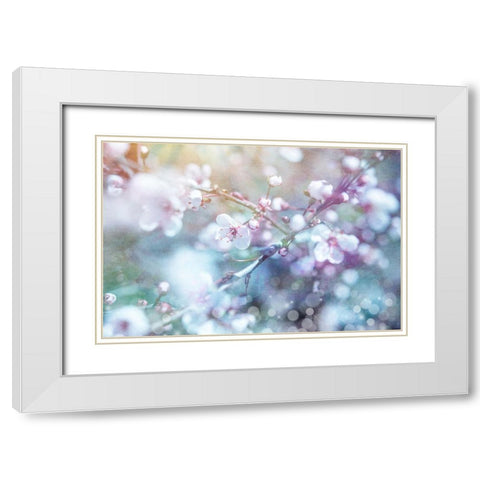 Cherry blu 03 White Modern Wood Framed Art Print with Double Matting by LightBoxJournal