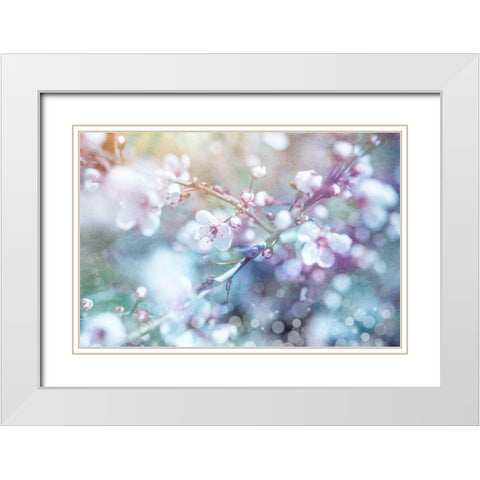 Cherry blu 03 White Modern Wood Framed Art Print with Double Matting by LightBoxJournal