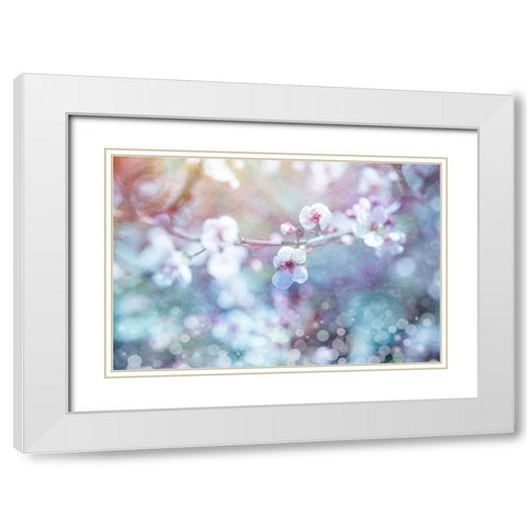 Cherry Blu 04 White Modern Wood Framed Art Print with Double Matting by LightBoxJournal