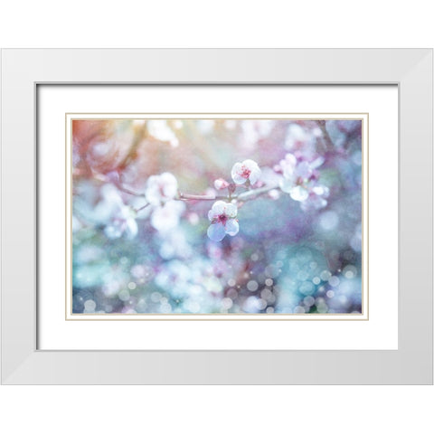 Cherry Blu 04 White Modern Wood Framed Art Print with Double Matting by LightBoxJournal