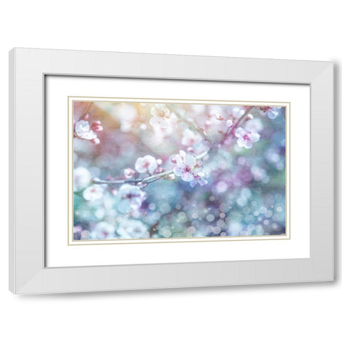 Cherry Blu 05 White Modern Wood Framed Art Print with Double Matting by LightBoxJournal