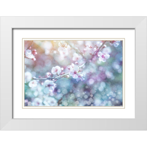 Cherry Blu 05 White Modern Wood Framed Art Print with Double Matting by LightBoxJournal