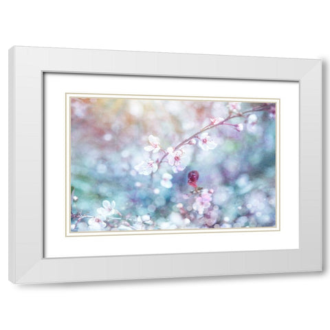 Cherry Blu 06 White Modern Wood Framed Art Print with Double Matting by LightBoxJournal