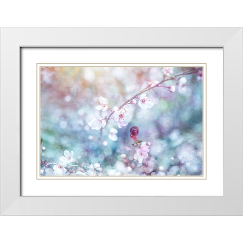Cherry Blu 06 White Modern Wood Framed Art Print with Double Matting by LightBoxJournal