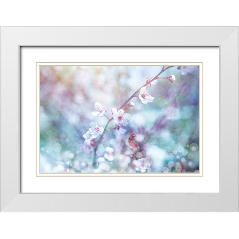 Cherry Blu 08 White Modern Wood Framed Art Print with Double Matting by LightBoxJournal