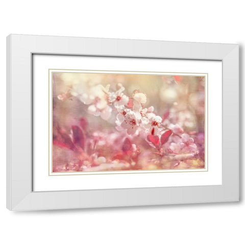 Gypsy Cherry 02 White Modern Wood Framed Art Print with Double Matting by LightBoxJournal