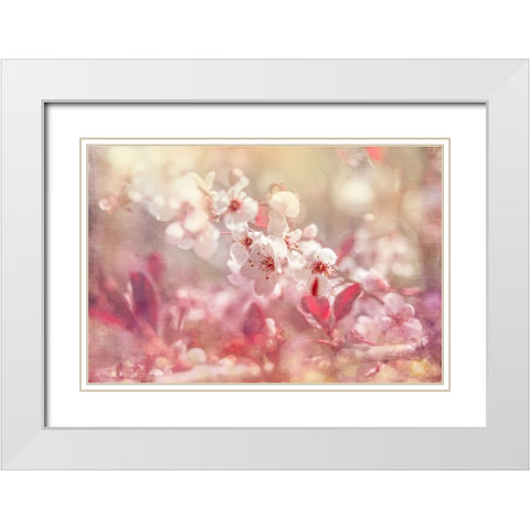 Gypsy Cherry 02 White Modern Wood Framed Art Print with Double Matting by LightBoxJournal