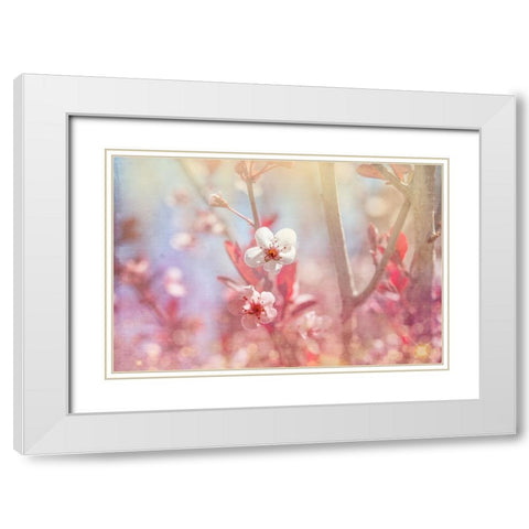 Gypsy Cherry 03 White Modern Wood Framed Art Print with Double Matting by LightBoxJournal