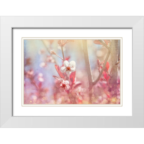 Gypsy Cherry 03 White Modern Wood Framed Art Print with Double Matting by LightBoxJournal