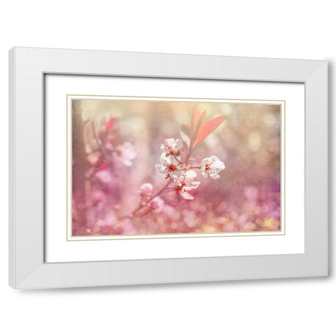 Gypsy Cherry 04 White Modern Wood Framed Art Print with Double Matting by LightBoxJournal