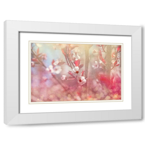 Gypsy Cherry 05 White Modern Wood Framed Art Print with Double Matting by LightBoxJournal