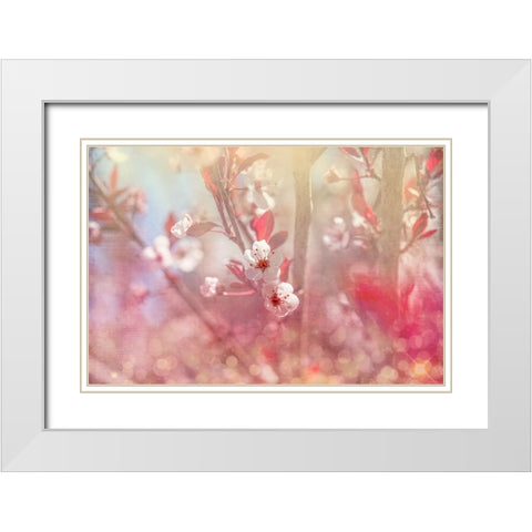 Gypsy Cherry 05 White Modern Wood Framed Art Print with Double Matting by LightBoxJournal