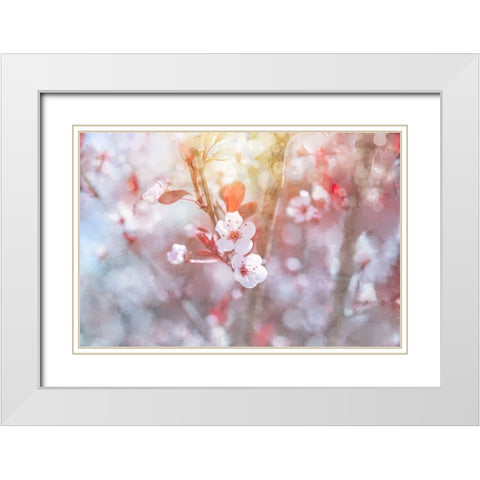 Spring Blooms 03 White Modern Wood Framed Art Print with Double Matting by LightBoxJournal